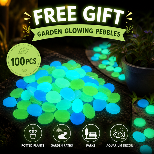 1000pcs Glowing Garden Pebbles